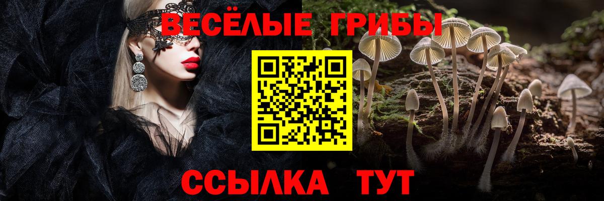 Псилоцибиновые грибы Psilocybine cubensis  Вход с VPN  Галлюциногенные грибы мицелий  Славянск-на-Кубани 