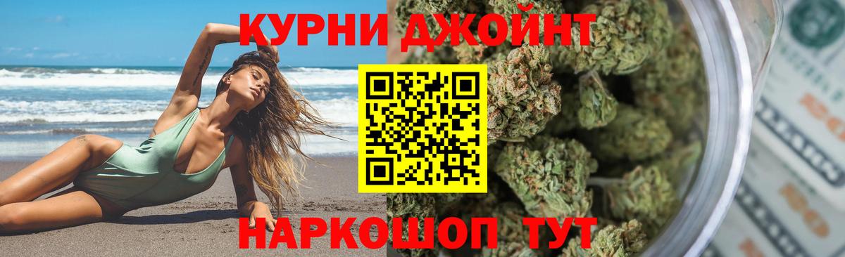 Бошки Шишки план Славянск-на-Кубани